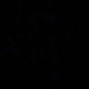 Meet your Posher, Christy